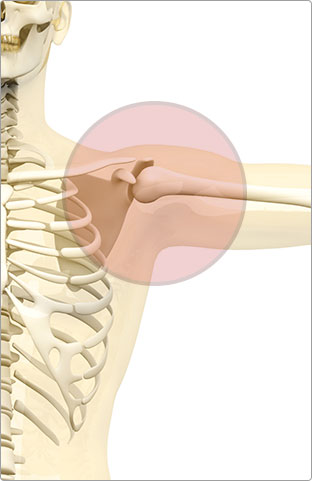 Back and Shoulder Pain